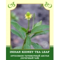 Indian Kidney Tea Leaf (Ortthosiphon)
